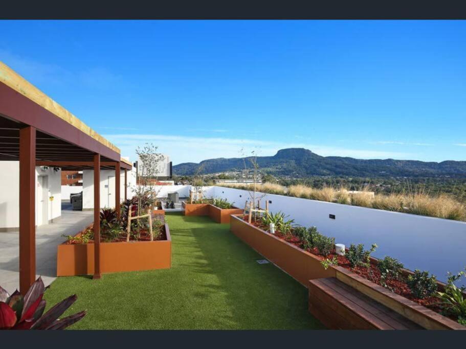Urban Oasis: Central Wollongong