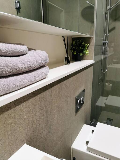 Urban Oasis: Central Apartment Wollongong