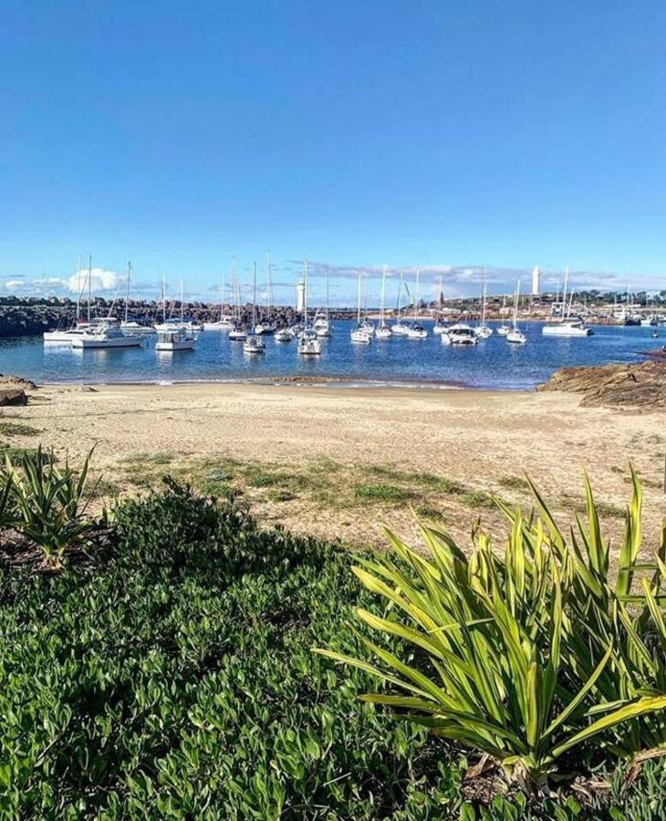 'highview Escape' Panorama Living Apartment Wollongong