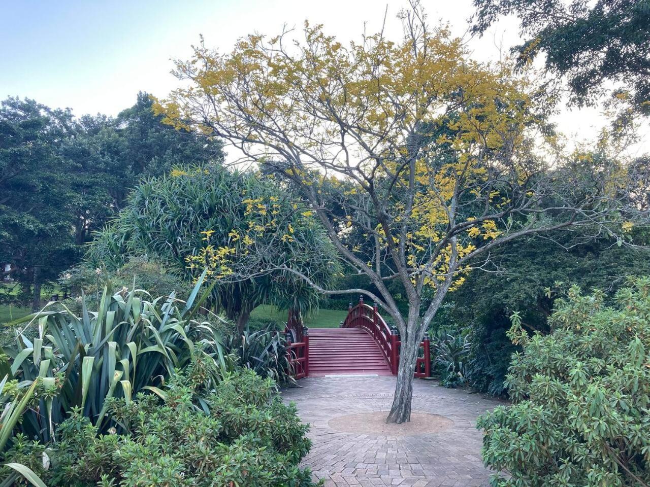 Apartment Burelli Escape - Breezy Seaside Charm