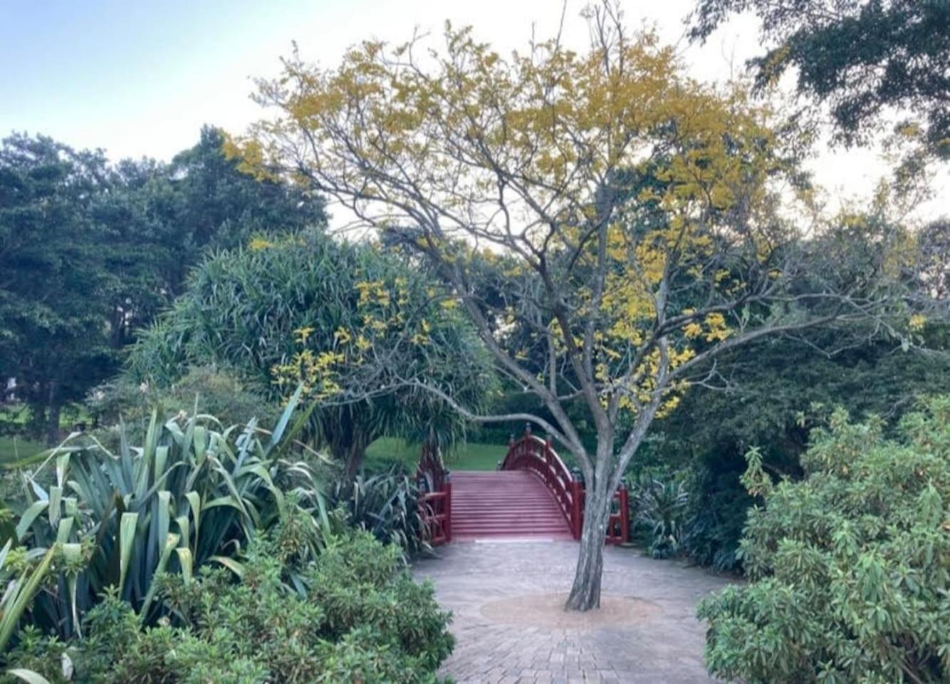 Keiraville Poolside Escape - Proximity Holiday home