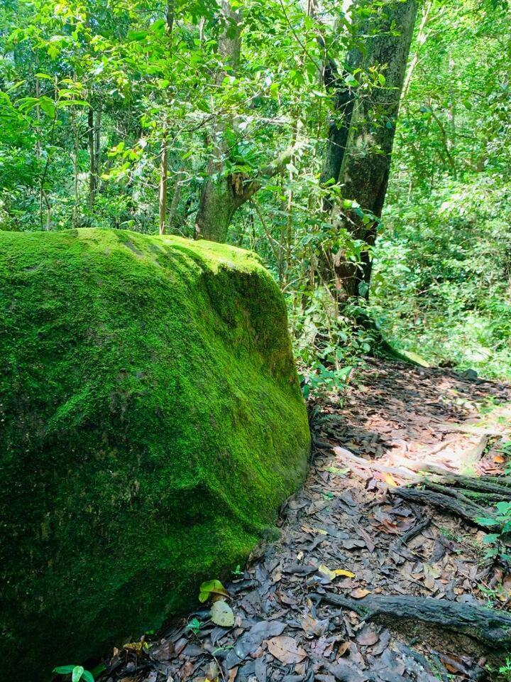 Coledale Rainforest Escape - A Tropical Haven Wollongong