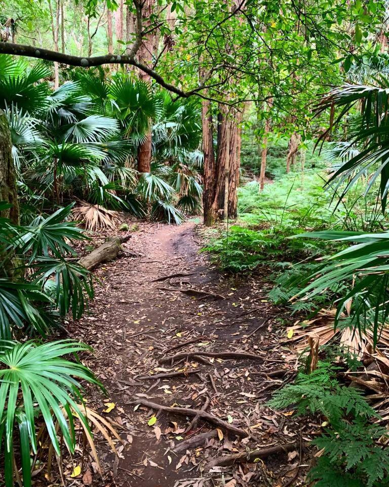 Holiday home Coledale Rainforest Escape - A Tropical Haven *