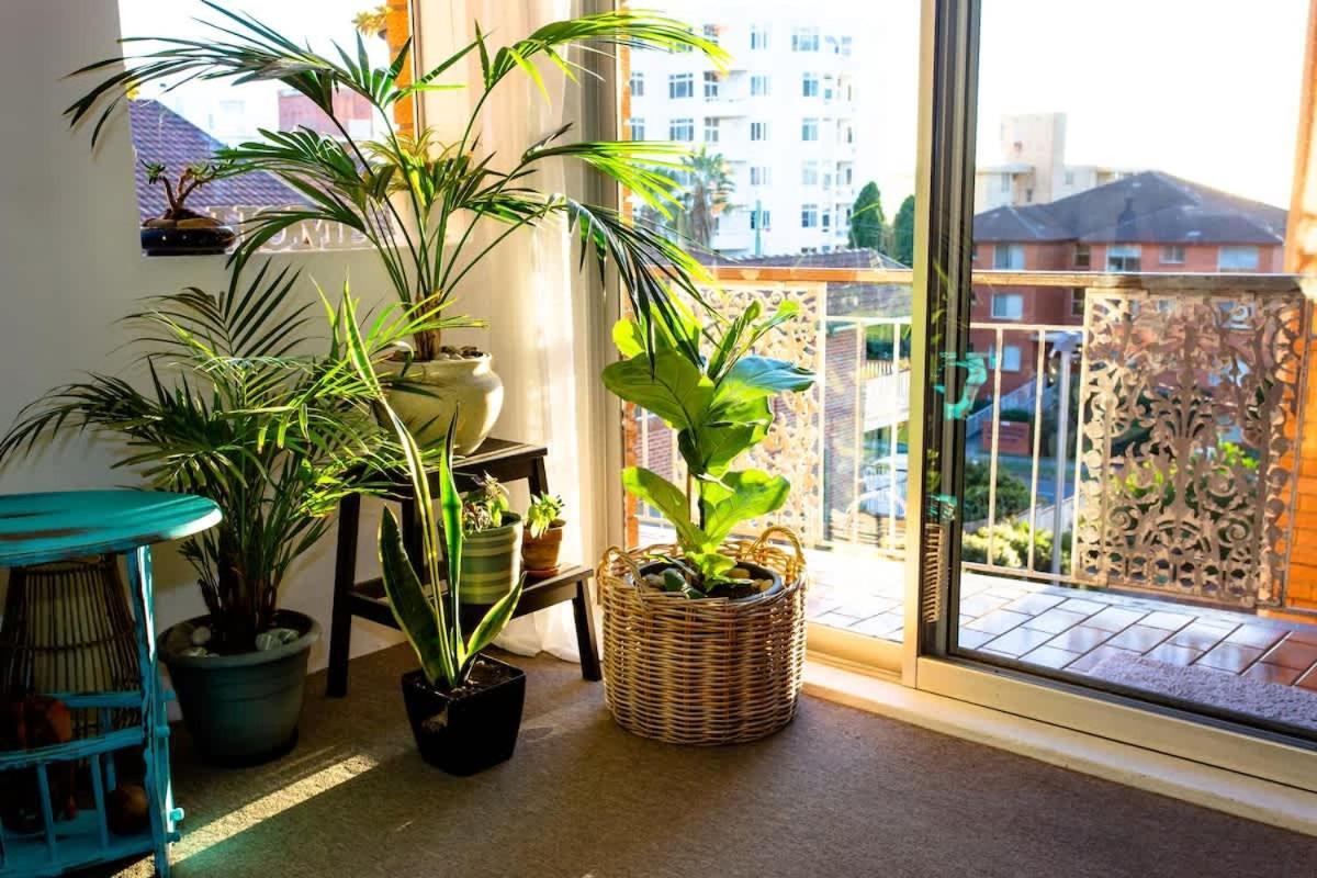 Beachside Oasis - Ocean Views And Walk To Everything Wollongong