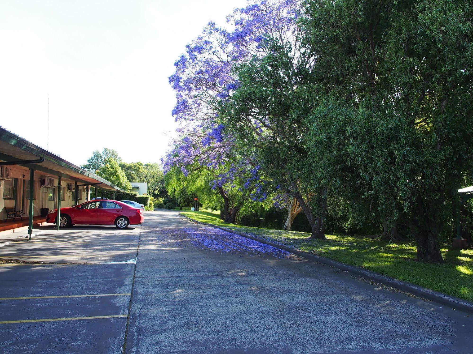 Solomon Figtree 3* Wollongong